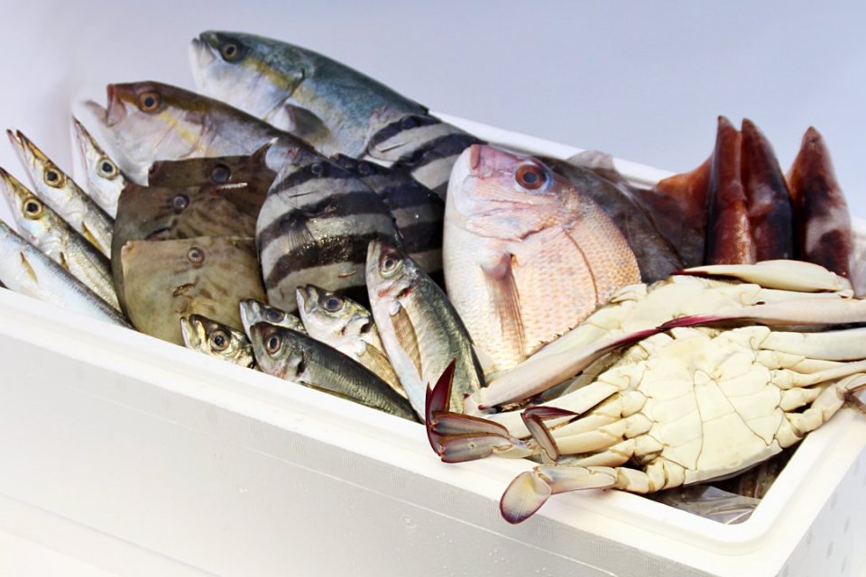 氷見の旬のお魚 特選セット | ひみ水産